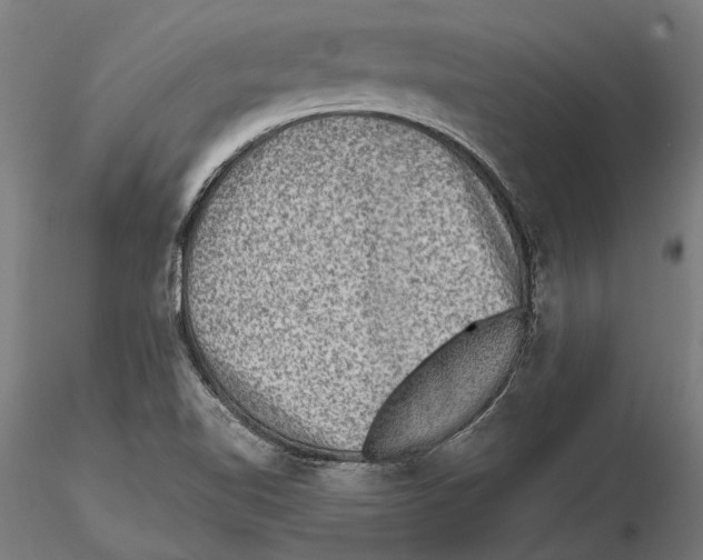 X0000115511510200912041049