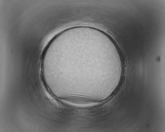 X0000115511511200912041049