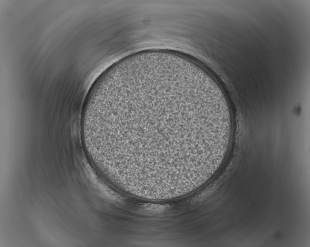 X0000115511513200912041049