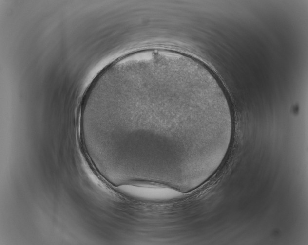 X0000115511515200912041049