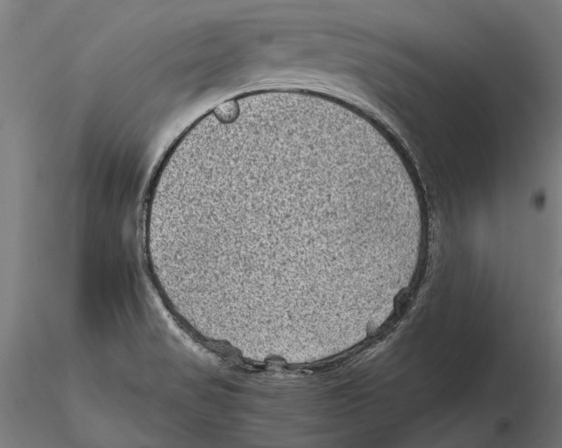 X0000115511517200912041049