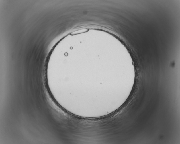 X0000115511518200912041049