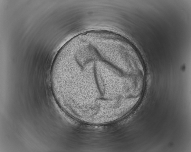 X0000115511521200912041049