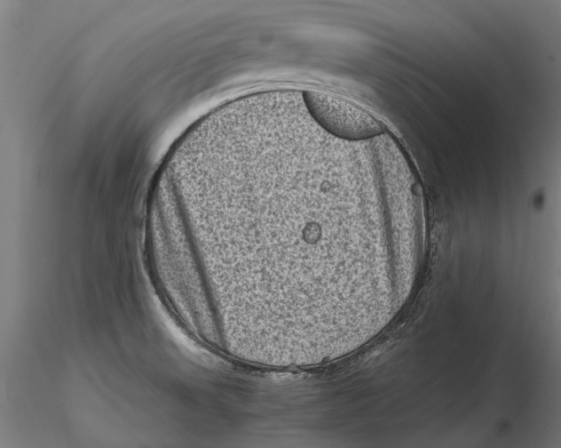 X0000115511523200912041049