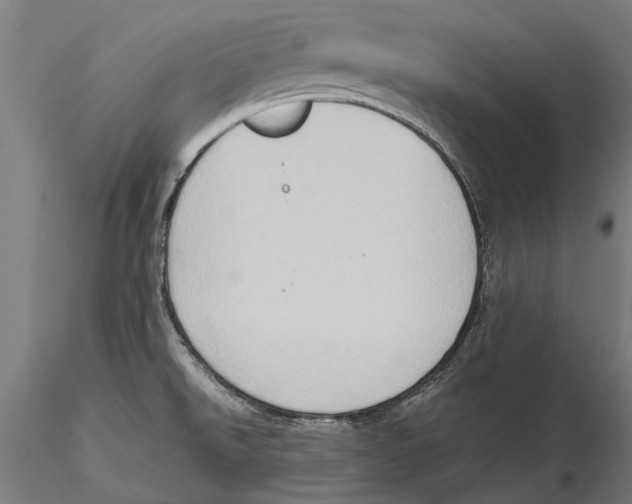 X0000115511526200912041049