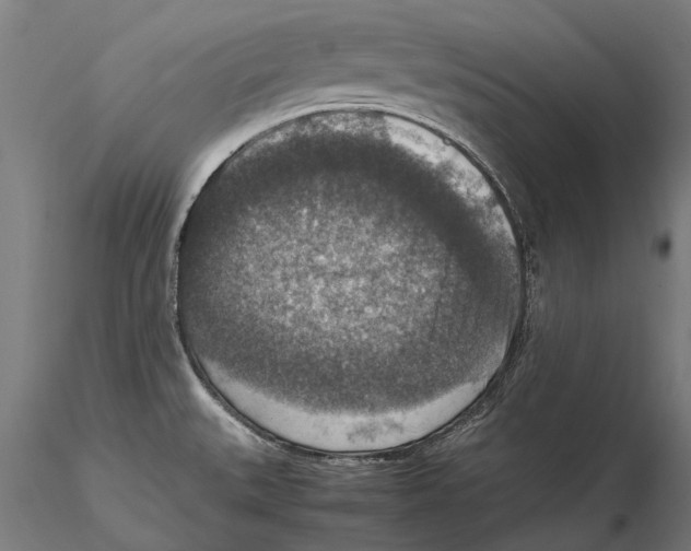 X0000115511527200912041049