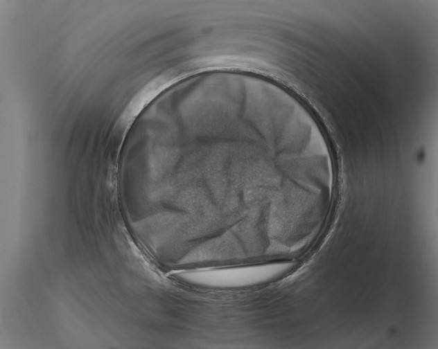 X0000115511529200912041049