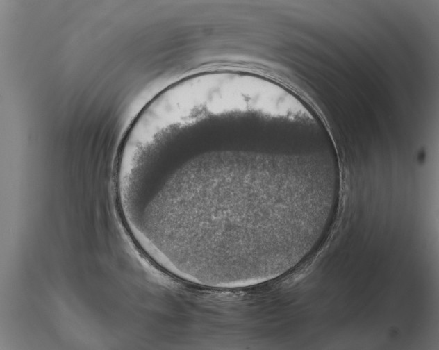 X0000115511533200912041049