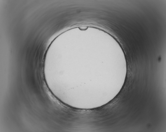 X0000115511534200912041049