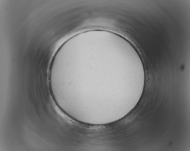 X0000115511535200912041049