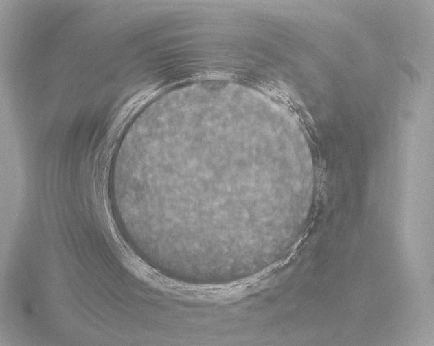 X0000115510001200912181455