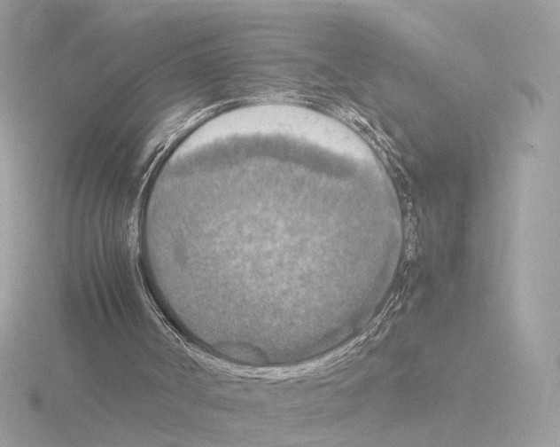 X0000115510002200912181455