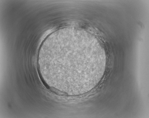 X0000115510003200912181455