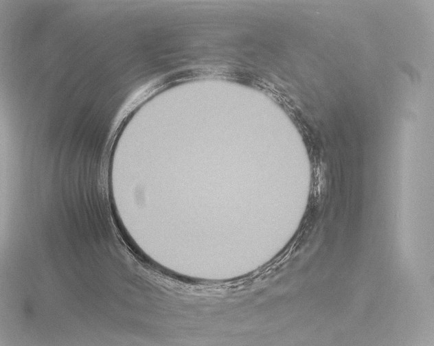 X0000115510004200912181455