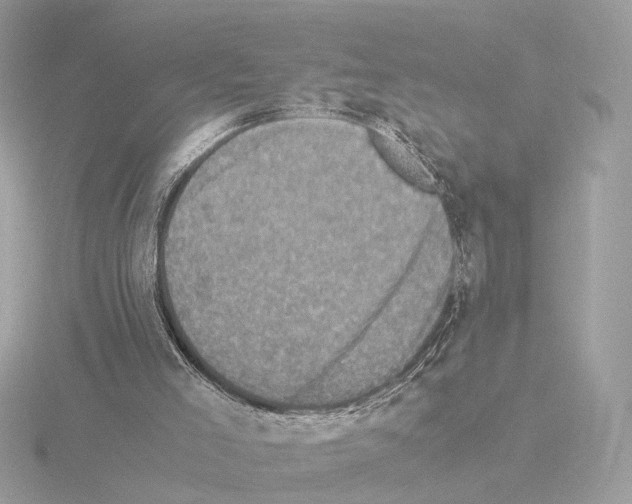 X0000115510005200912181455