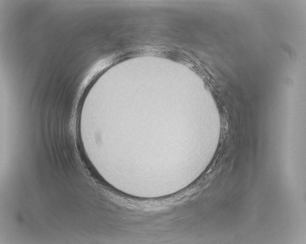 X0000115510006200912181455