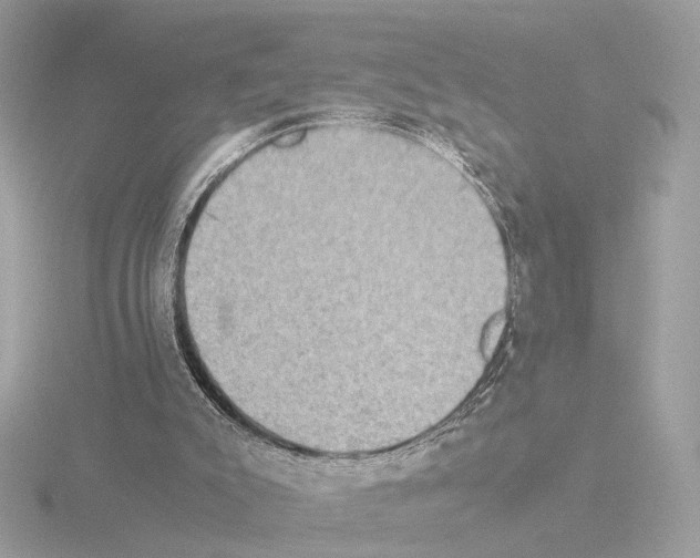 X0000115510007200912181455