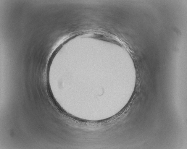 X0000115510008200912181455