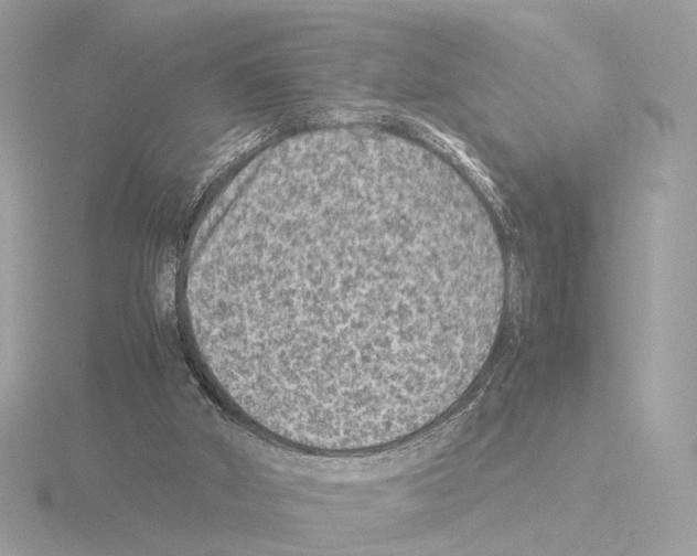 X0000115510010200912181455