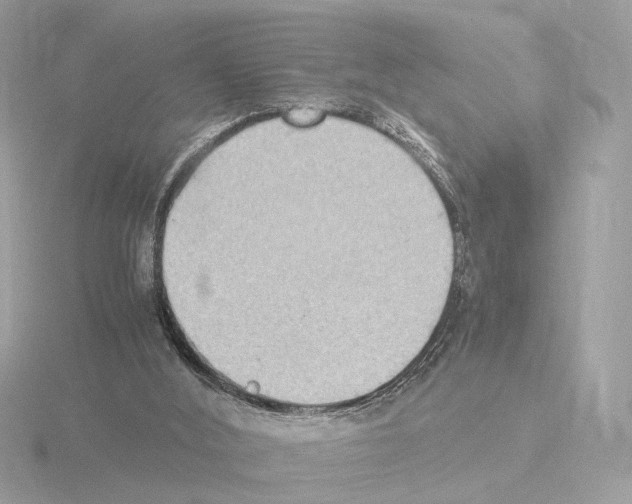 X0000115510012200912181455