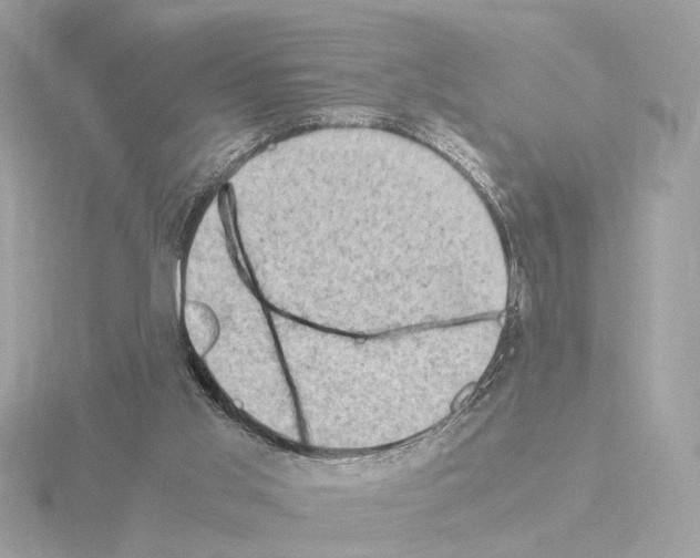 X0000115510013200912181455