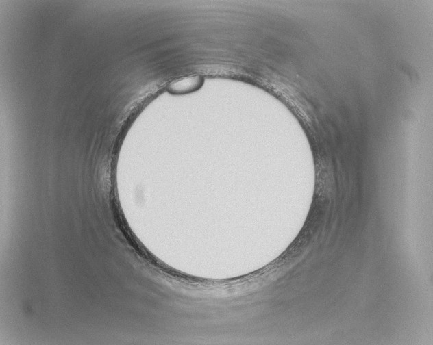 X0000115510015200912181455