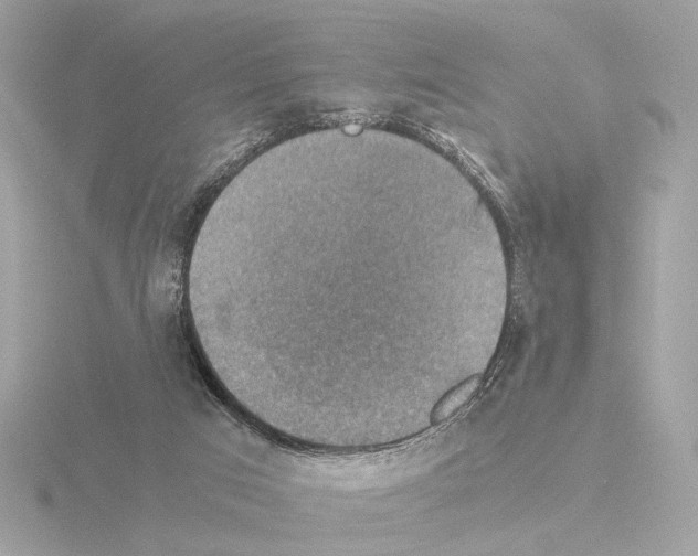 X0000115510017200912181455