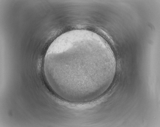 X0000115510018200912181455