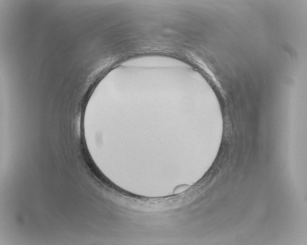 X0000115510019200912181455