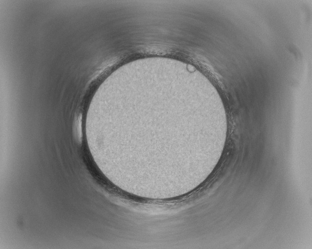 X0000115510020200912181455