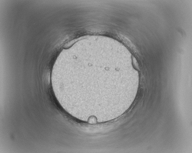 X0000115510021200912181455