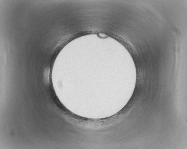 X0000115510024200912181455