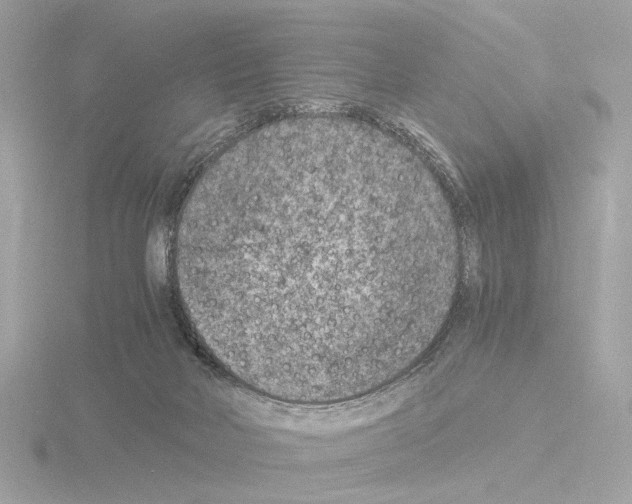 X0000115510026200912181455