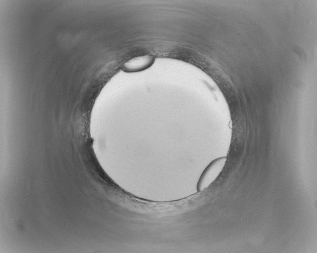 X0000115510031200912181455