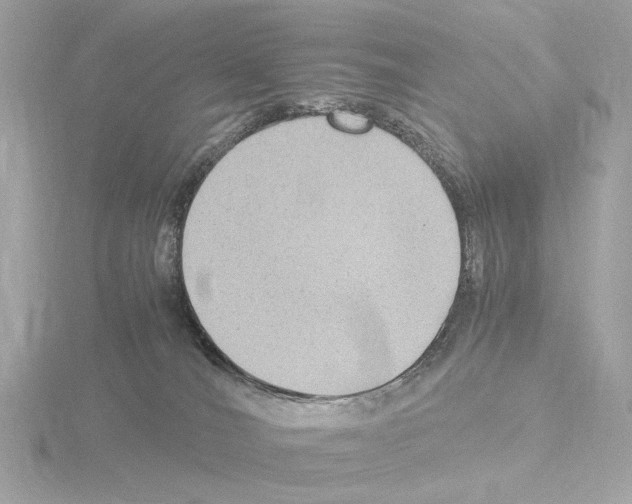 X0000115510036200912181455