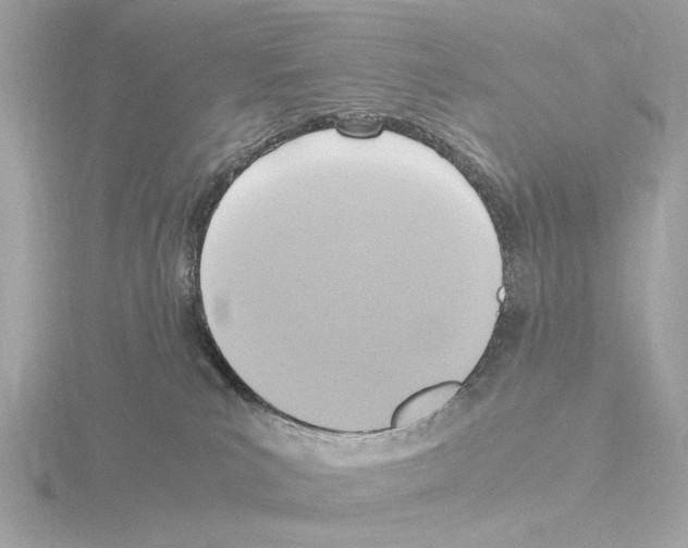 X0000115510039200912181455