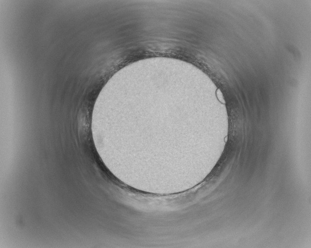 X0000115510040200912181455