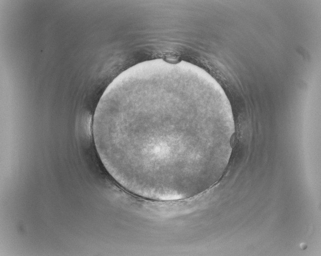 X0000115510041200912181455