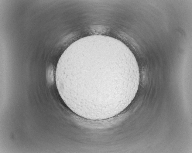 X0000115510042200912181455