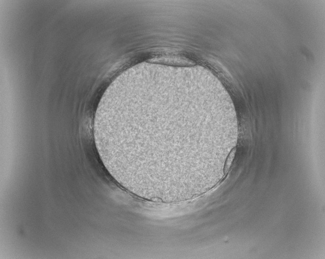 X0000115510045200912181455