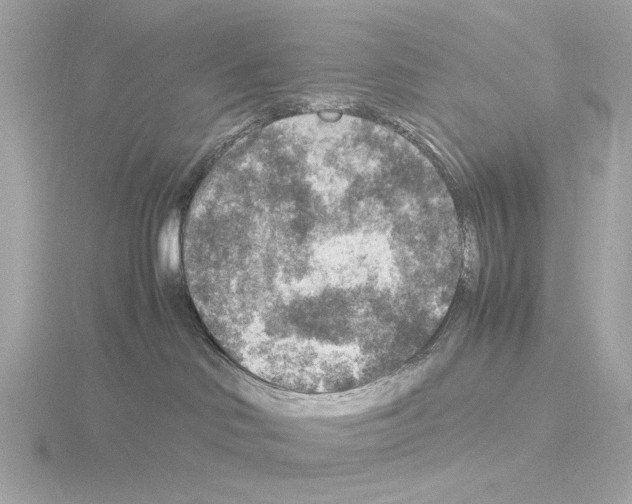 X0000115510046200912181455