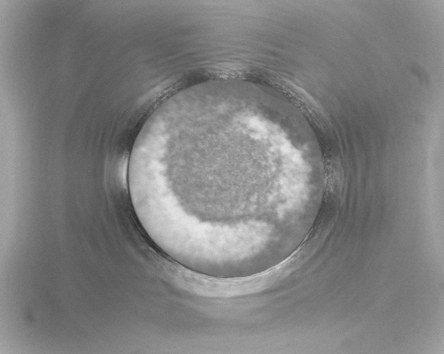 X0000115510047200912181455