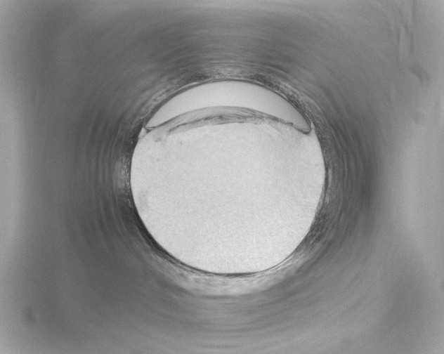 X0000115510048200912181454