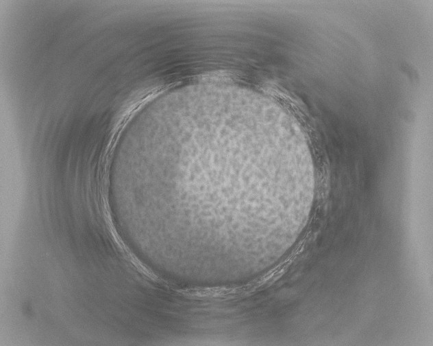 X0000115510049200912181454