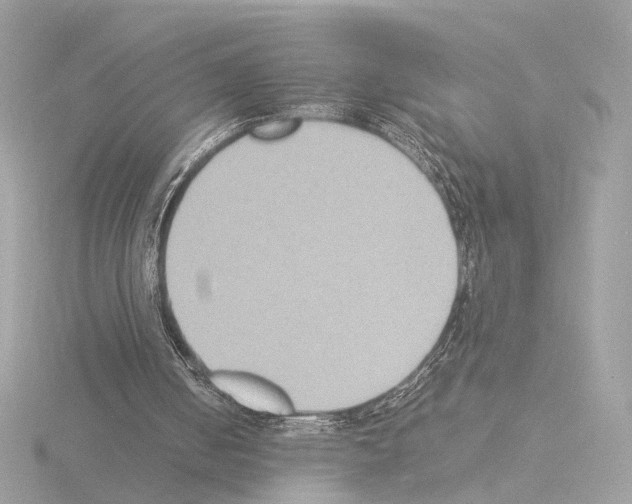 X0000115510050200912181454