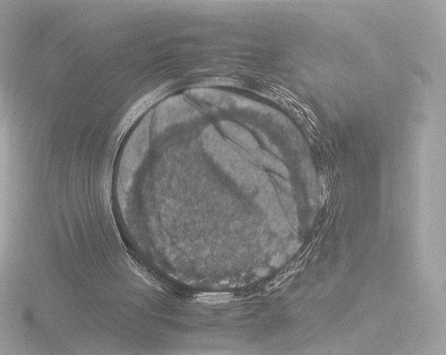 X0000115510051200912181454