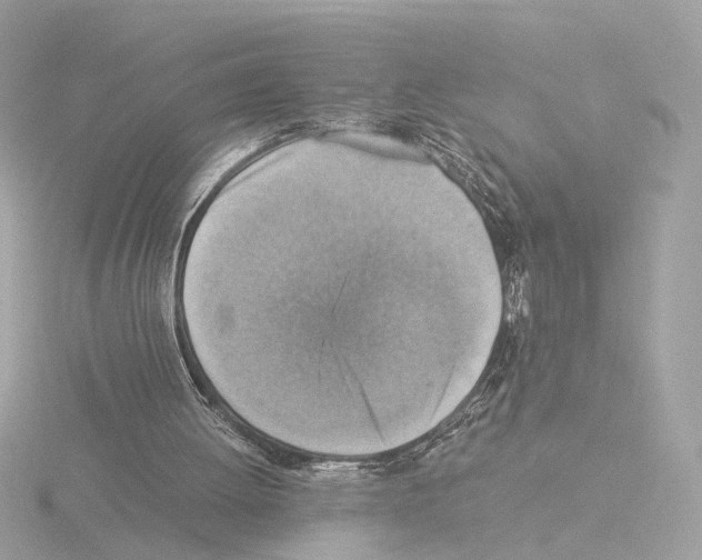 X0000115510052200912181454