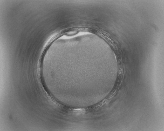 X0000115510053200912181454