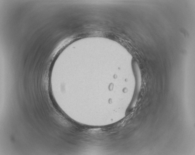 X0000115510054200912181454