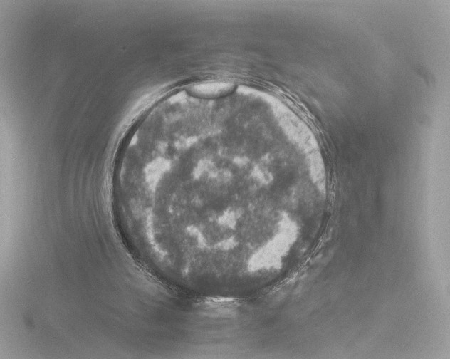 X0000115510055200912181454